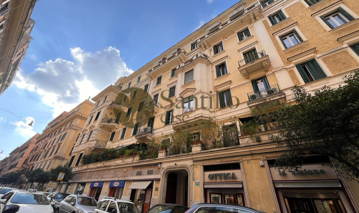 Galleria immagini