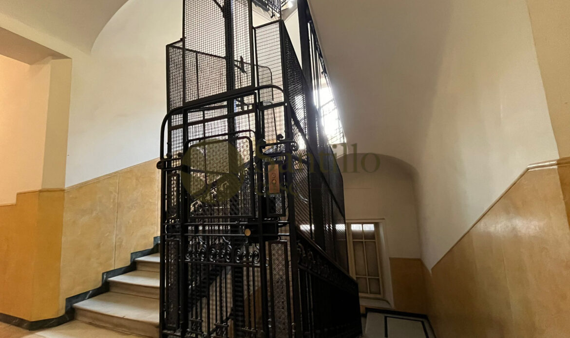 Galleria immagini