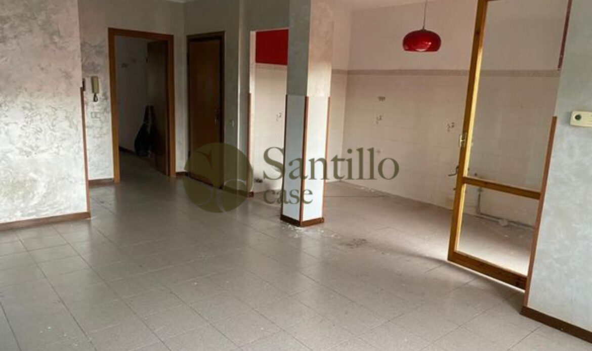 Galleria immagini