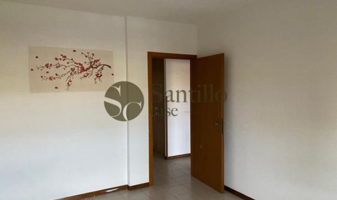 Galleria immagini