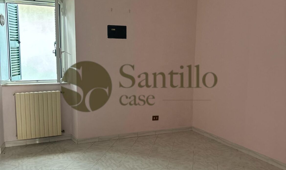 Galleria immagini
