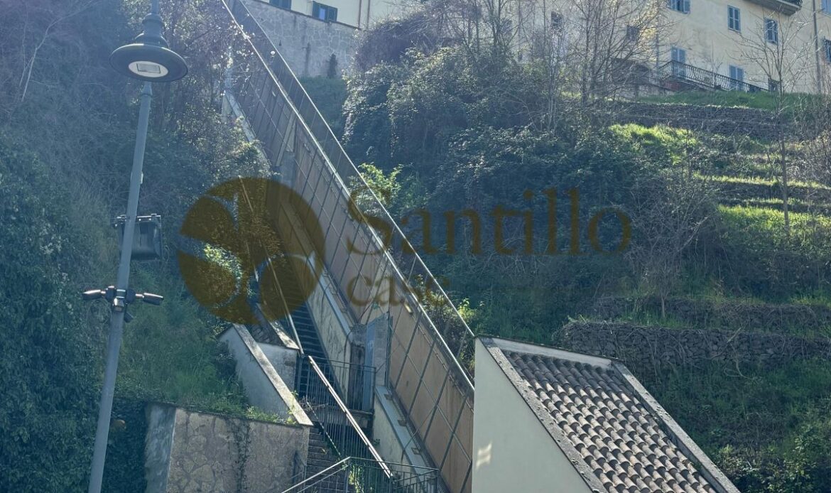 Galleria immagini