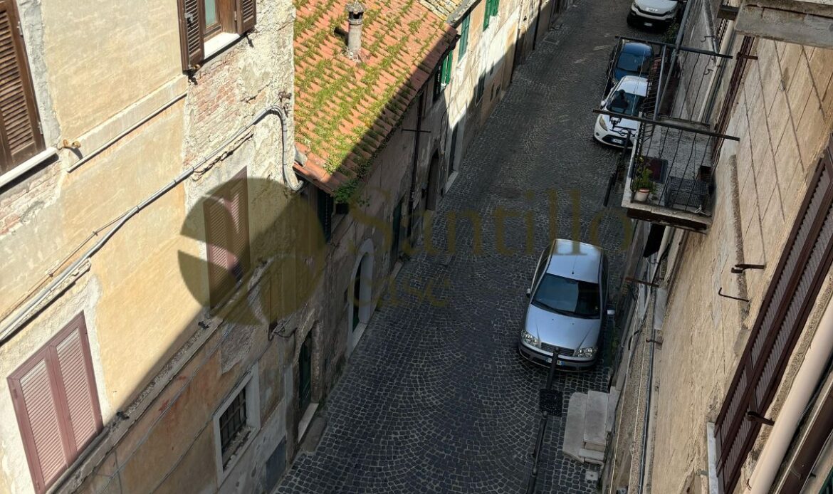 Galleria immagini