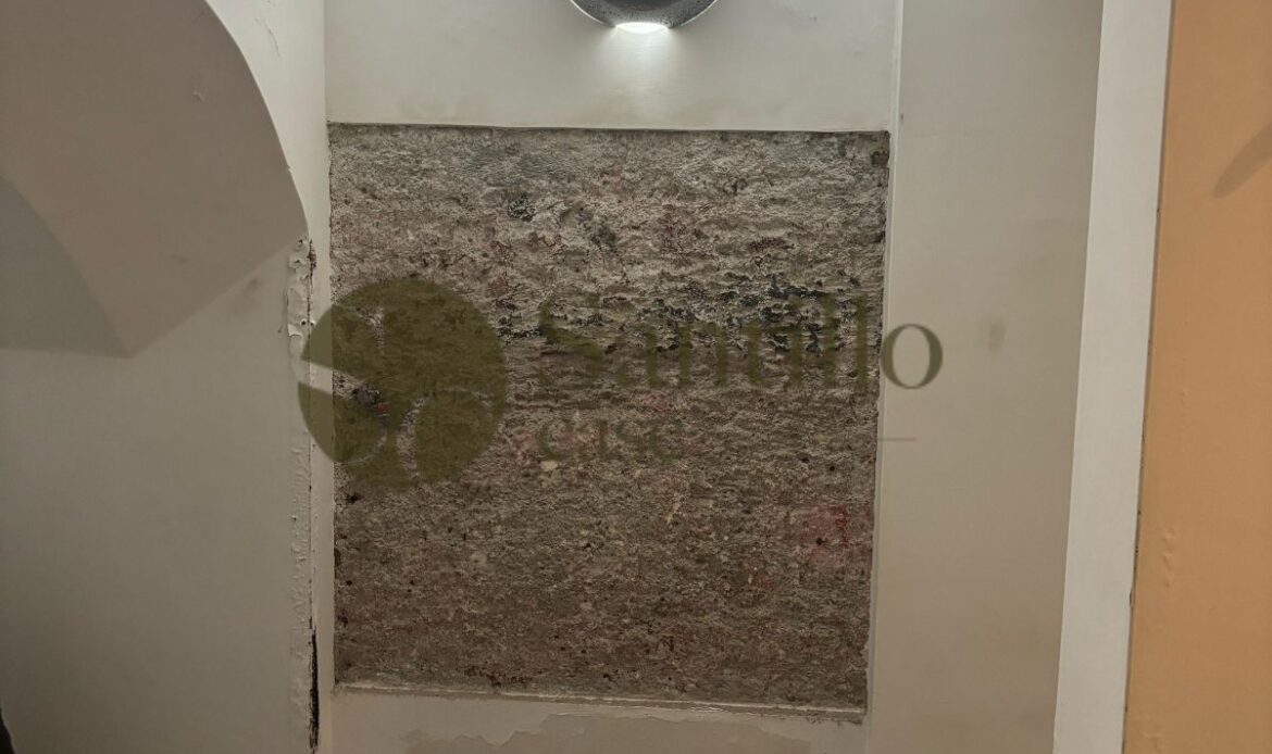 Galleria immagini