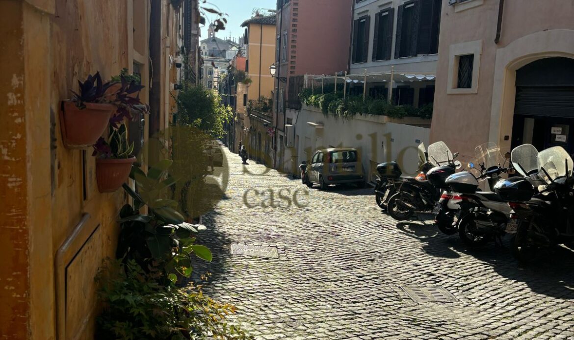 Galleria immagini