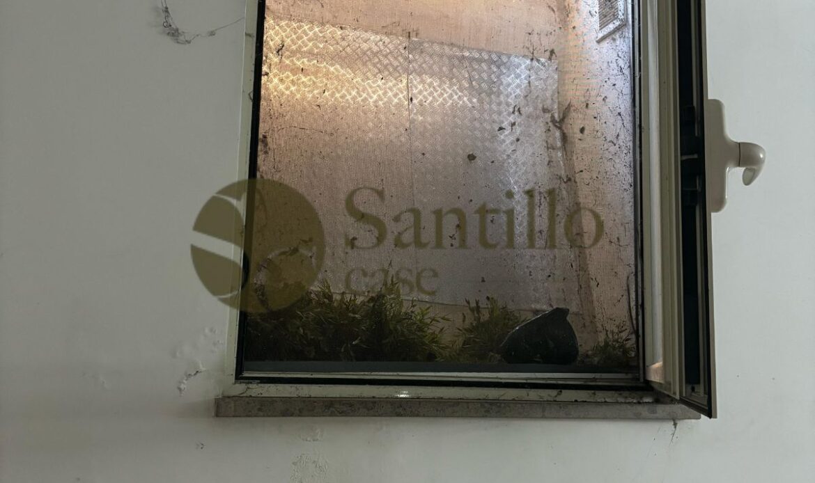 Galleria immagini
