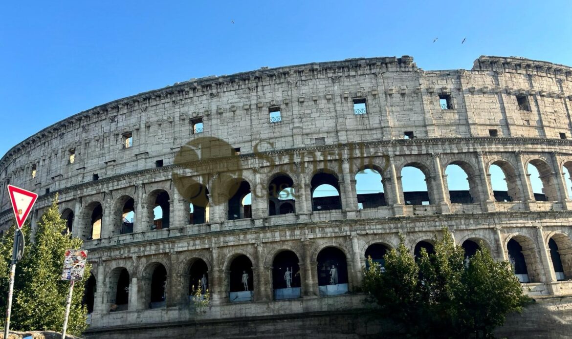 Galleria immagini