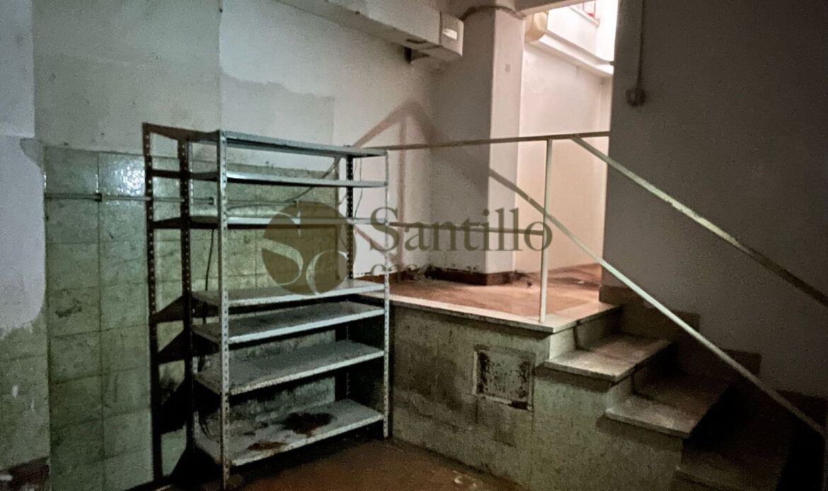 Galleria immagini