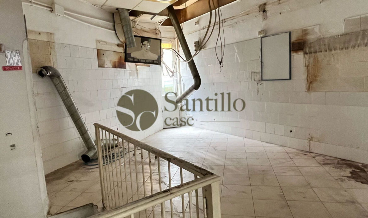 Galleria immagini
