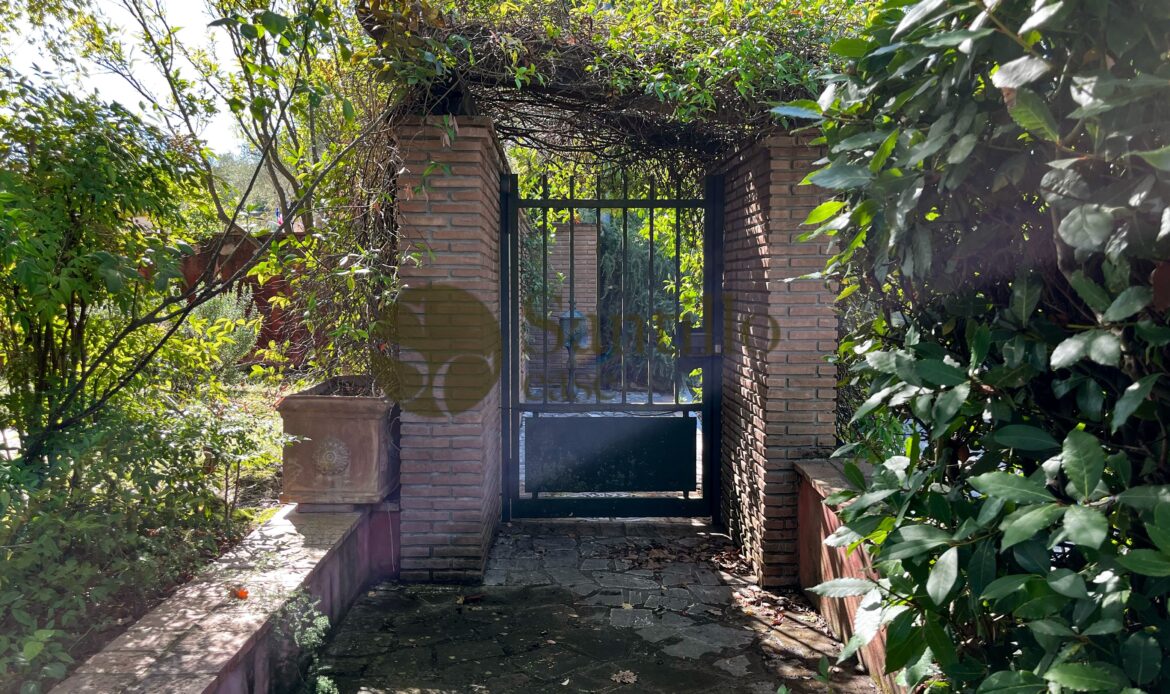 Galleria immagini