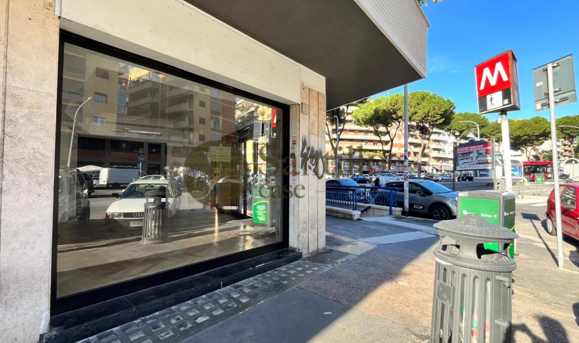 Galleria immagini