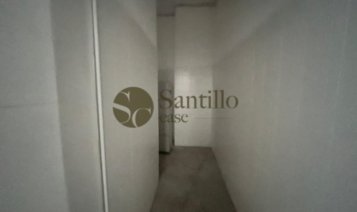 Galleria immagini