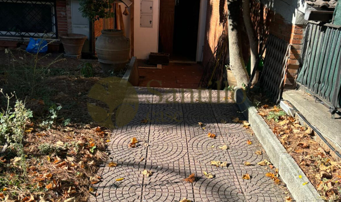Galleria immagini