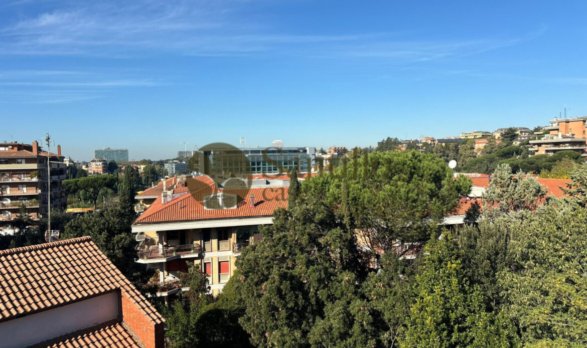Galleria immagini