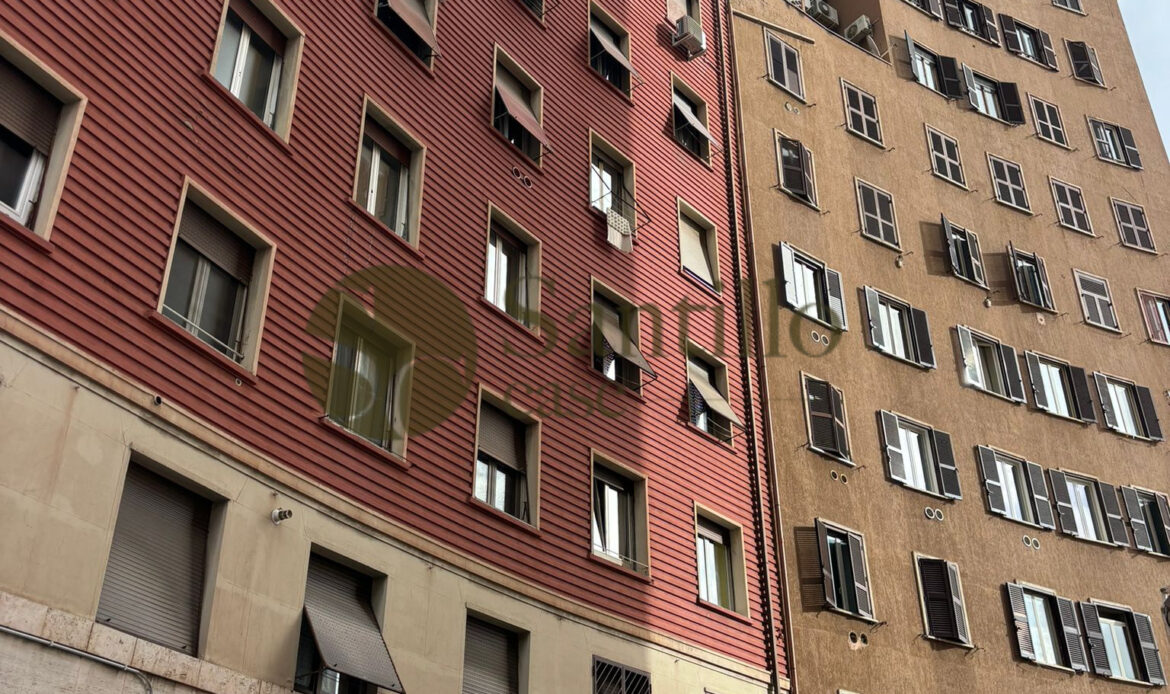 Galleria immagini