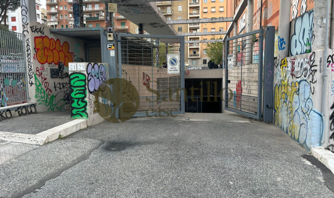 Galleria immagini