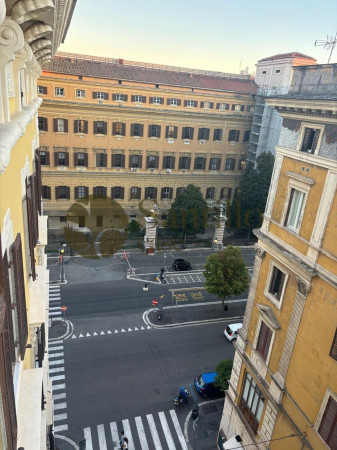 Galleria immagini