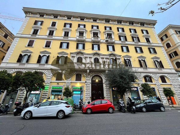 Galleria immagini