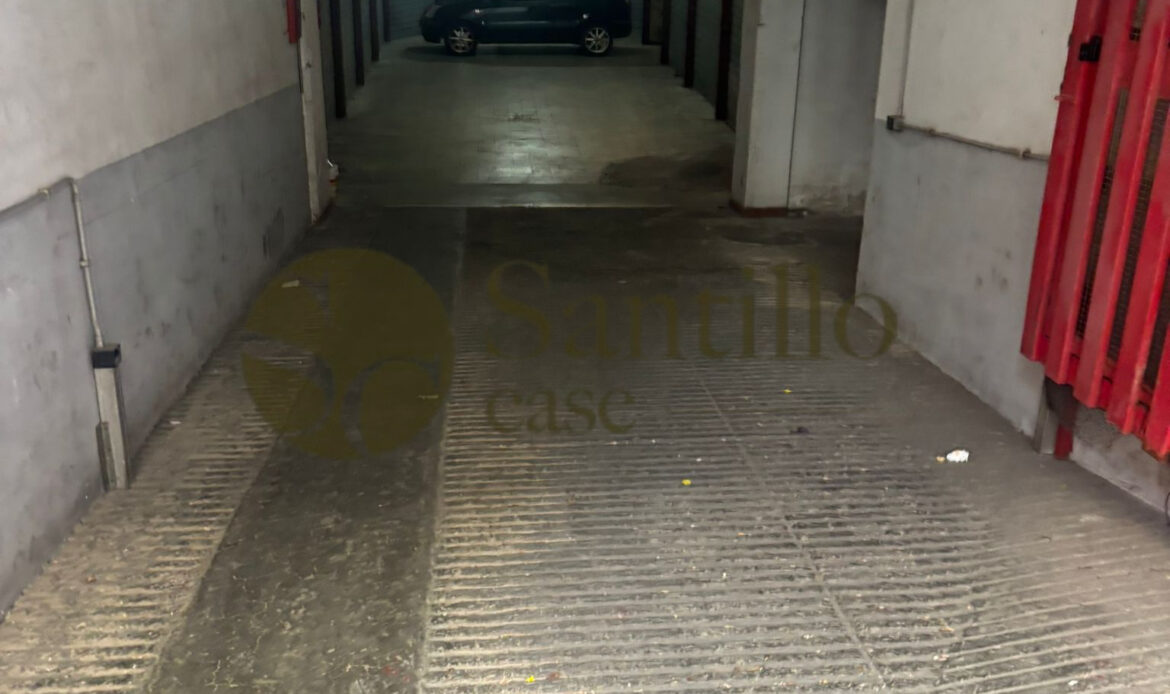 Galleria immagini