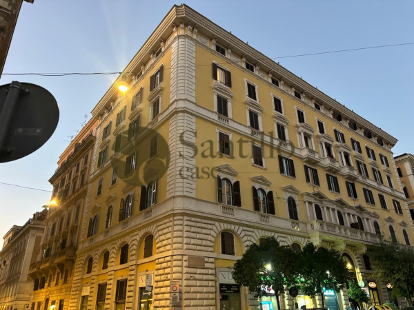 Galleria immagini