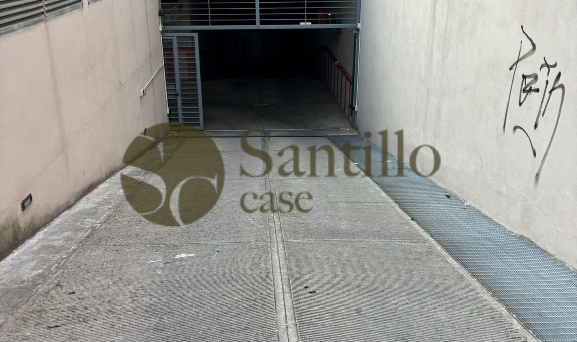 Galleria immagini