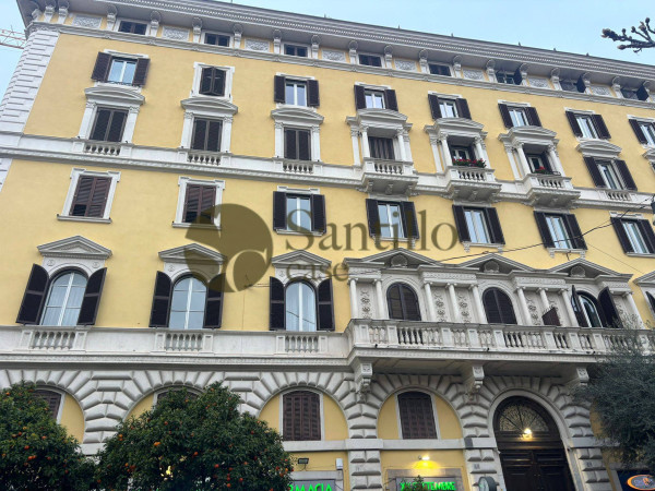 Galleria immagini