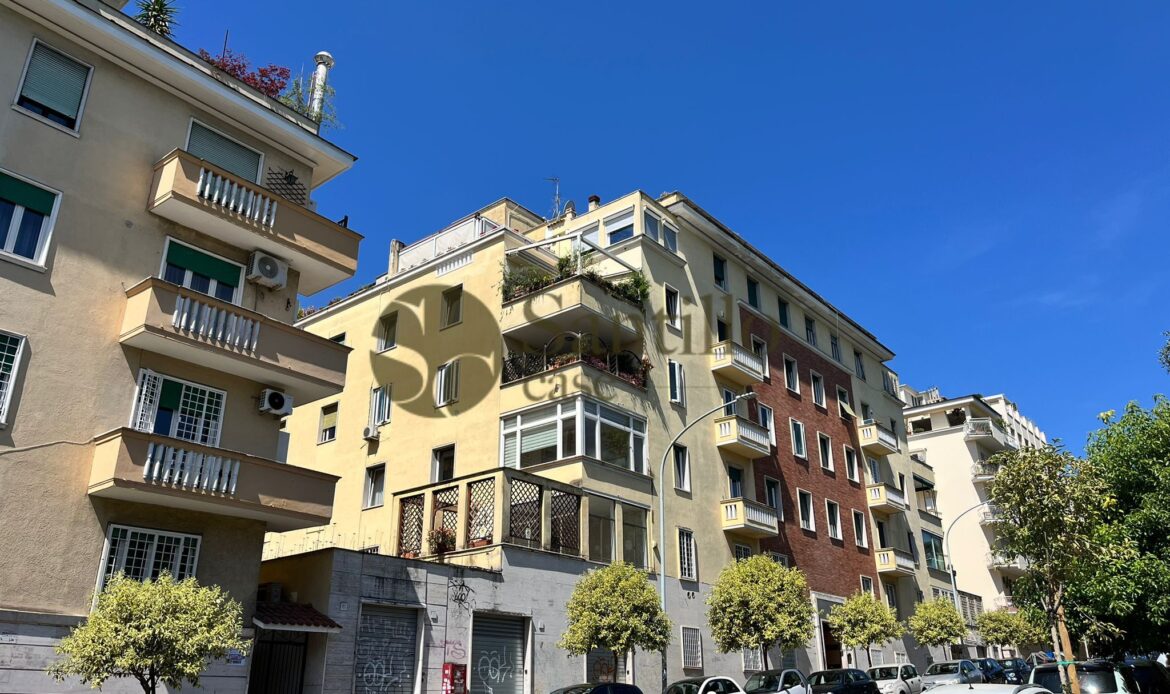 Galleria immagini