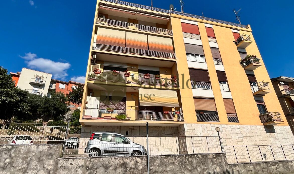 Galleria immagini