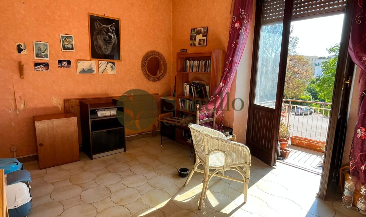 Galleria immagini
