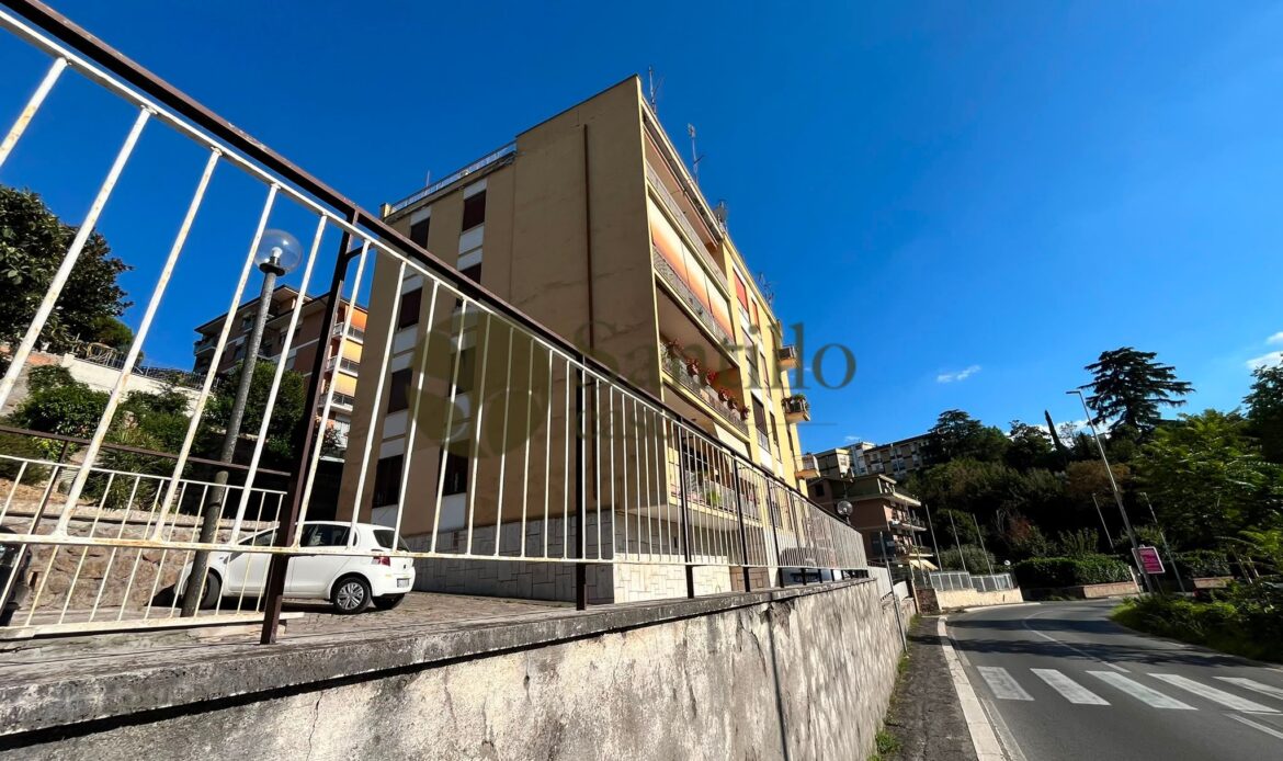 Galleria immagini