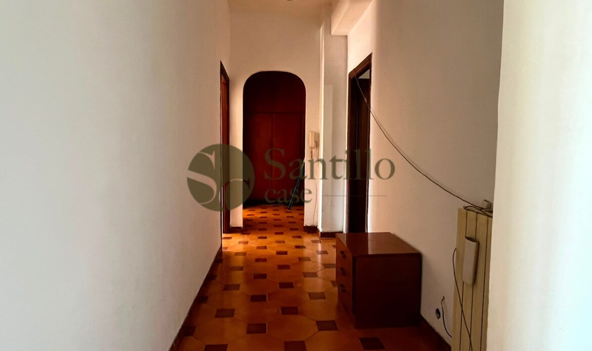 Galleria immagini