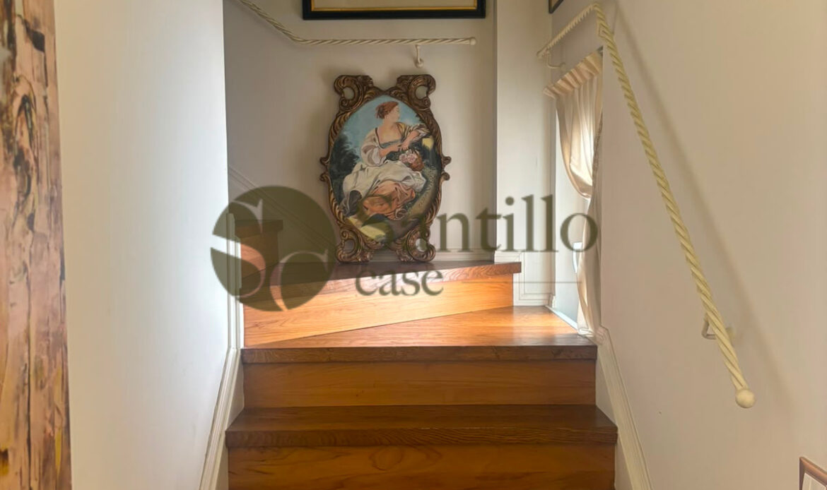 Galleria immagini