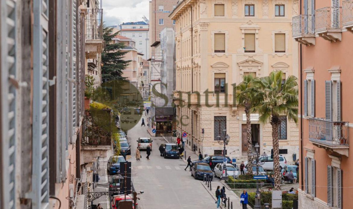 Galleria immagini