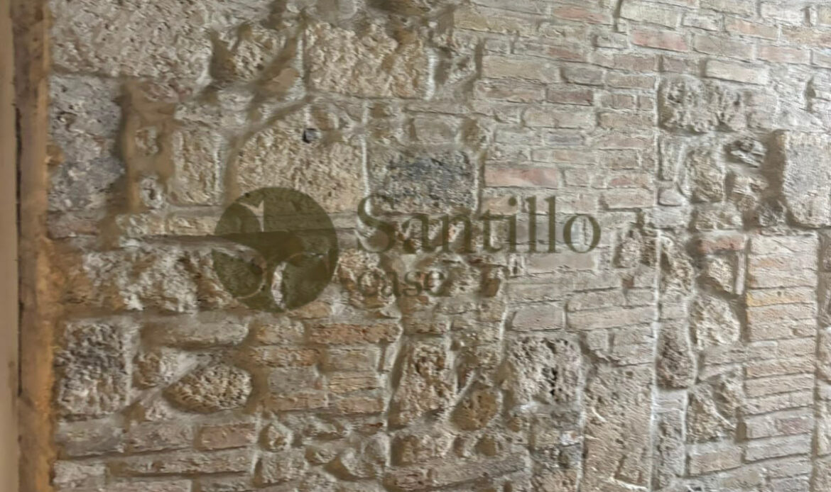 Galleria immagini