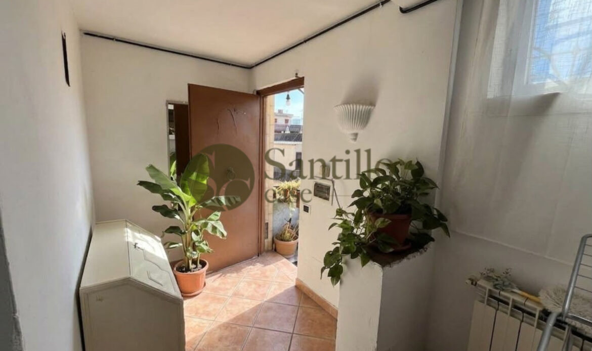 Galleria immagini