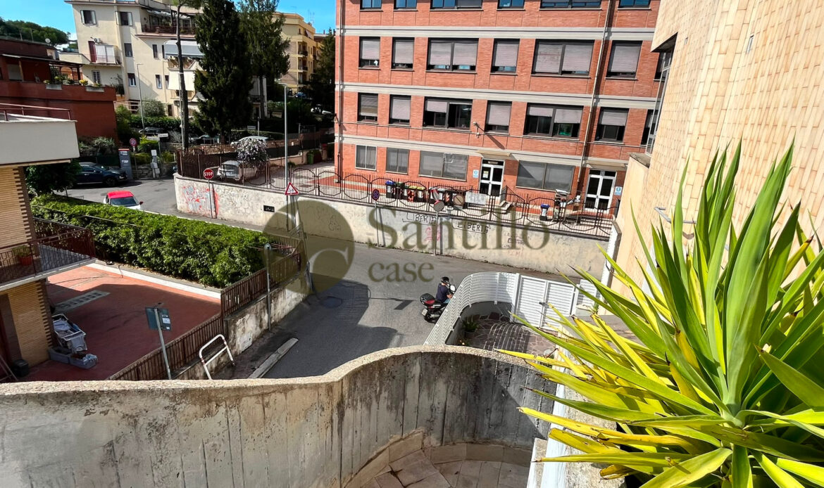 Galleria immagini