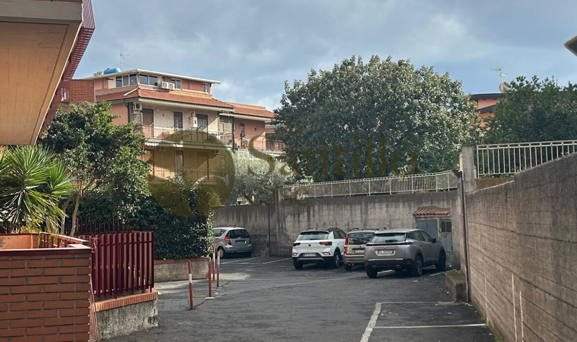 Galleria immagini