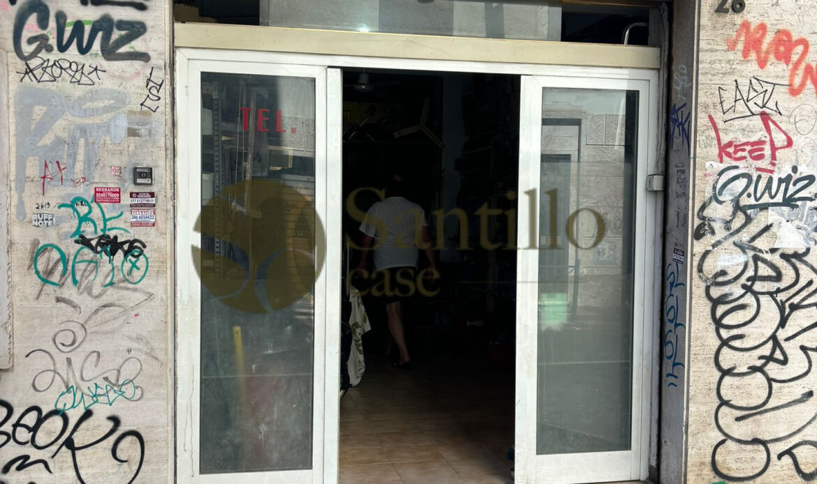 Galleria immagini