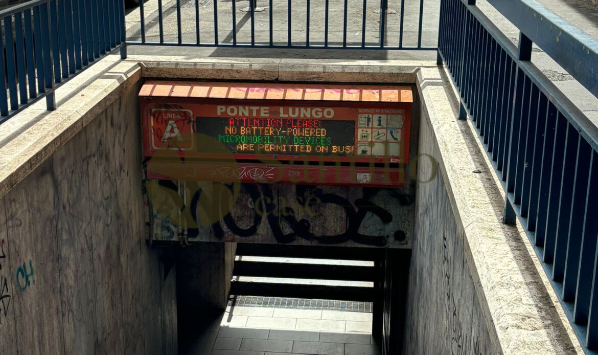 Galleria immagini