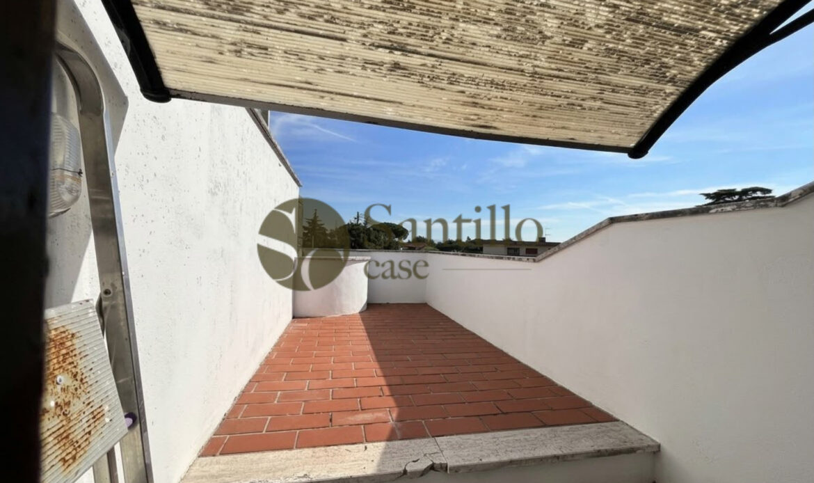 Galleria immagini