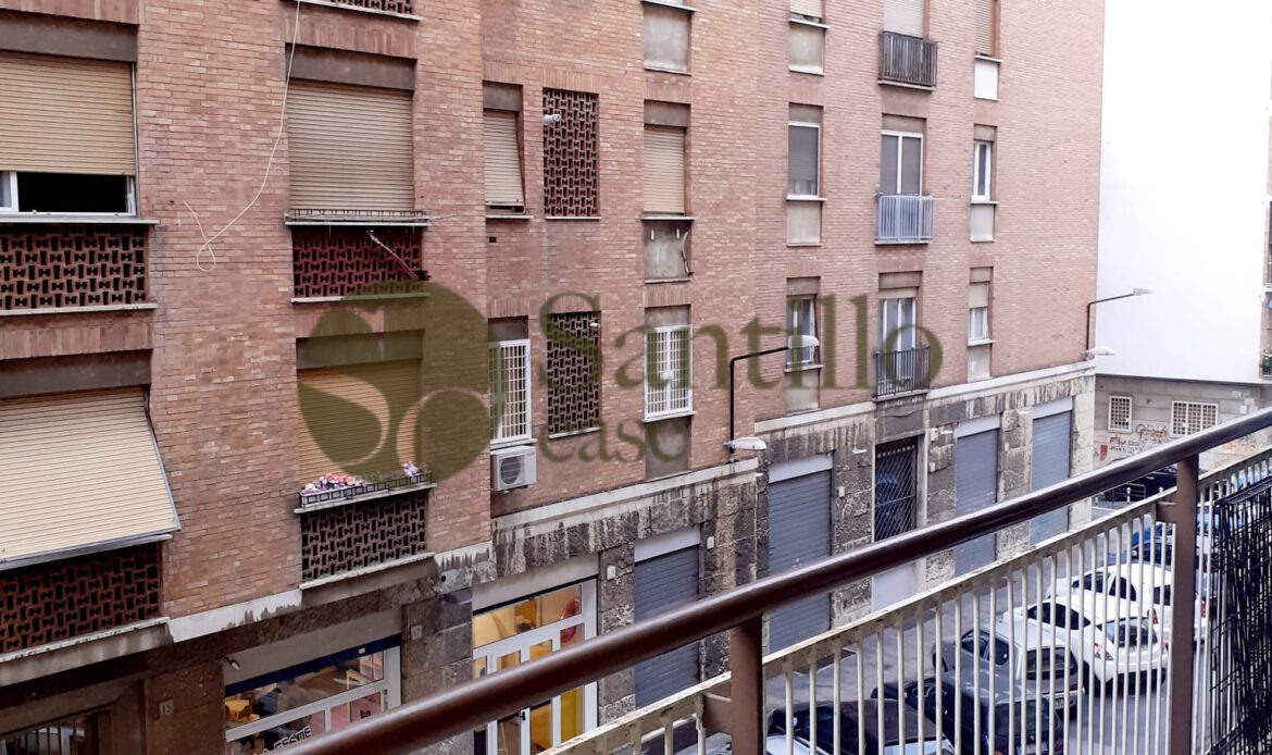 Galleria immagini