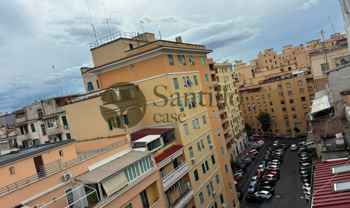 Galleria immagini