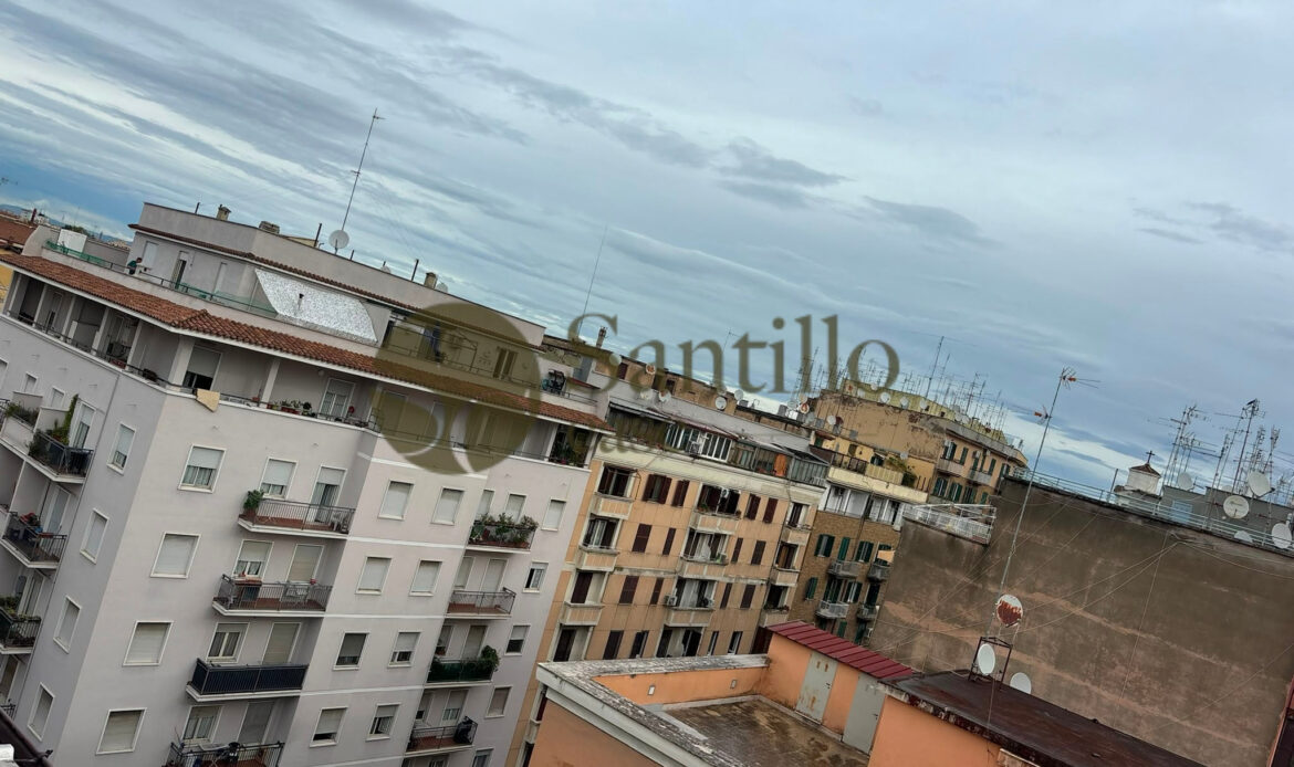 Galleria immagini