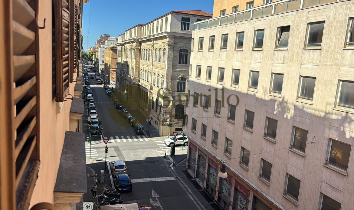 Galleria immagini