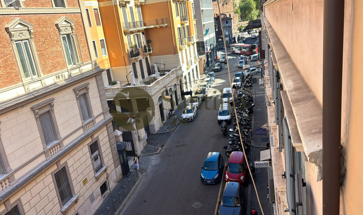 Galleria immagini