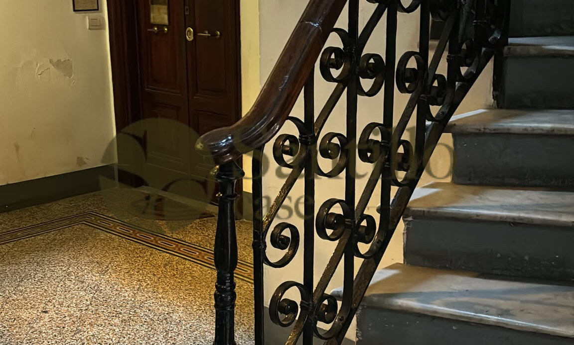 Galleria immagini