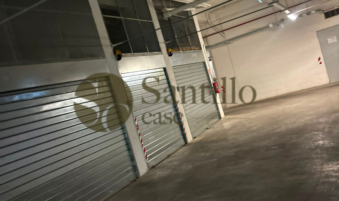 Galleria immagini